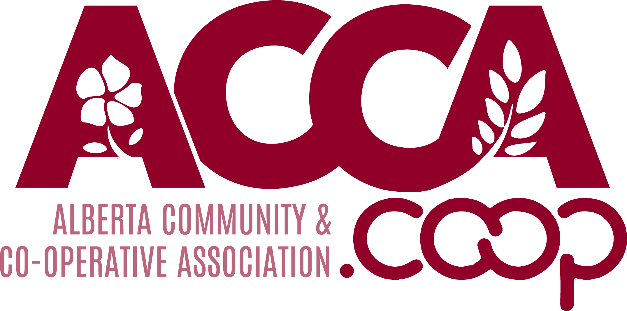 ACCA