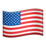 USA flag icon