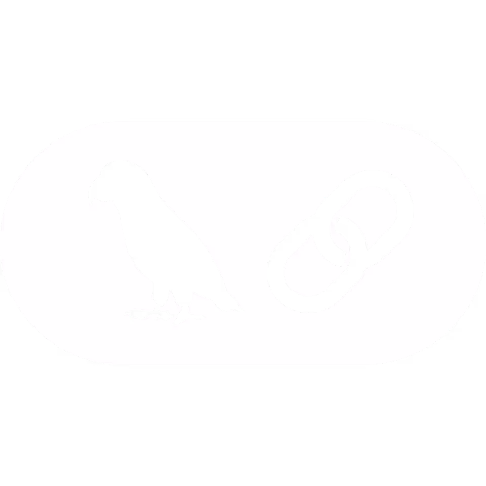 Django Backend Developer