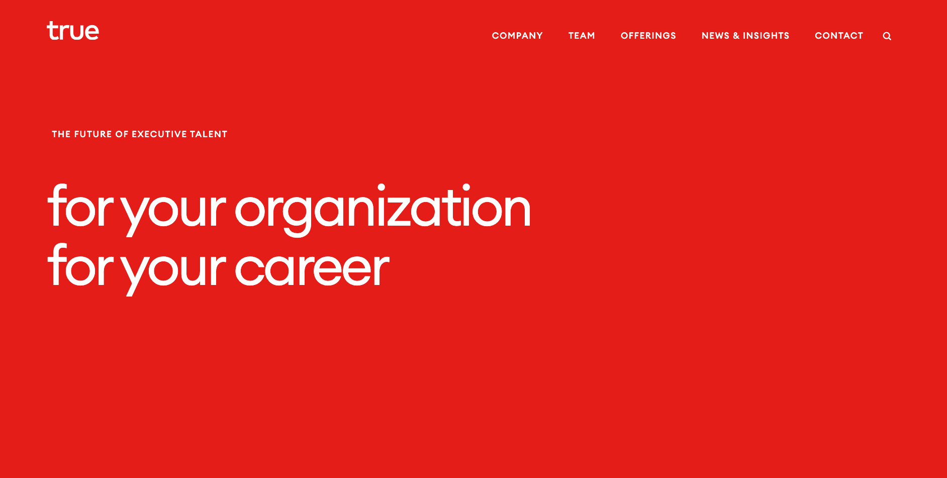 True Search's homepage