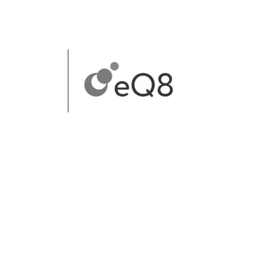eQ8Company Logo