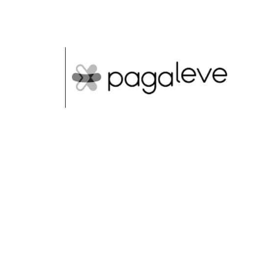 Pagaleve Company Logo