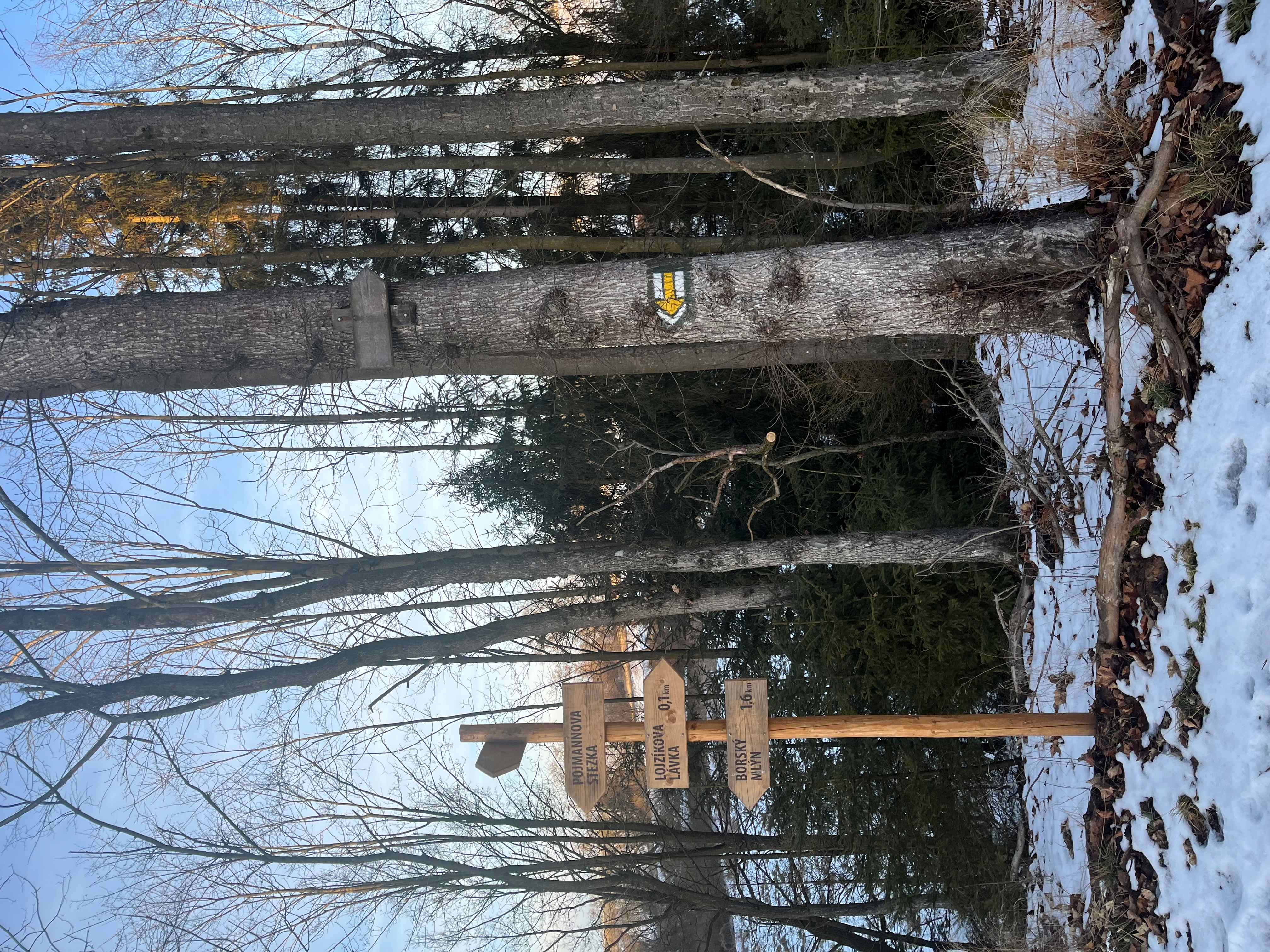 Rozcestí u Lojzíkové lávky