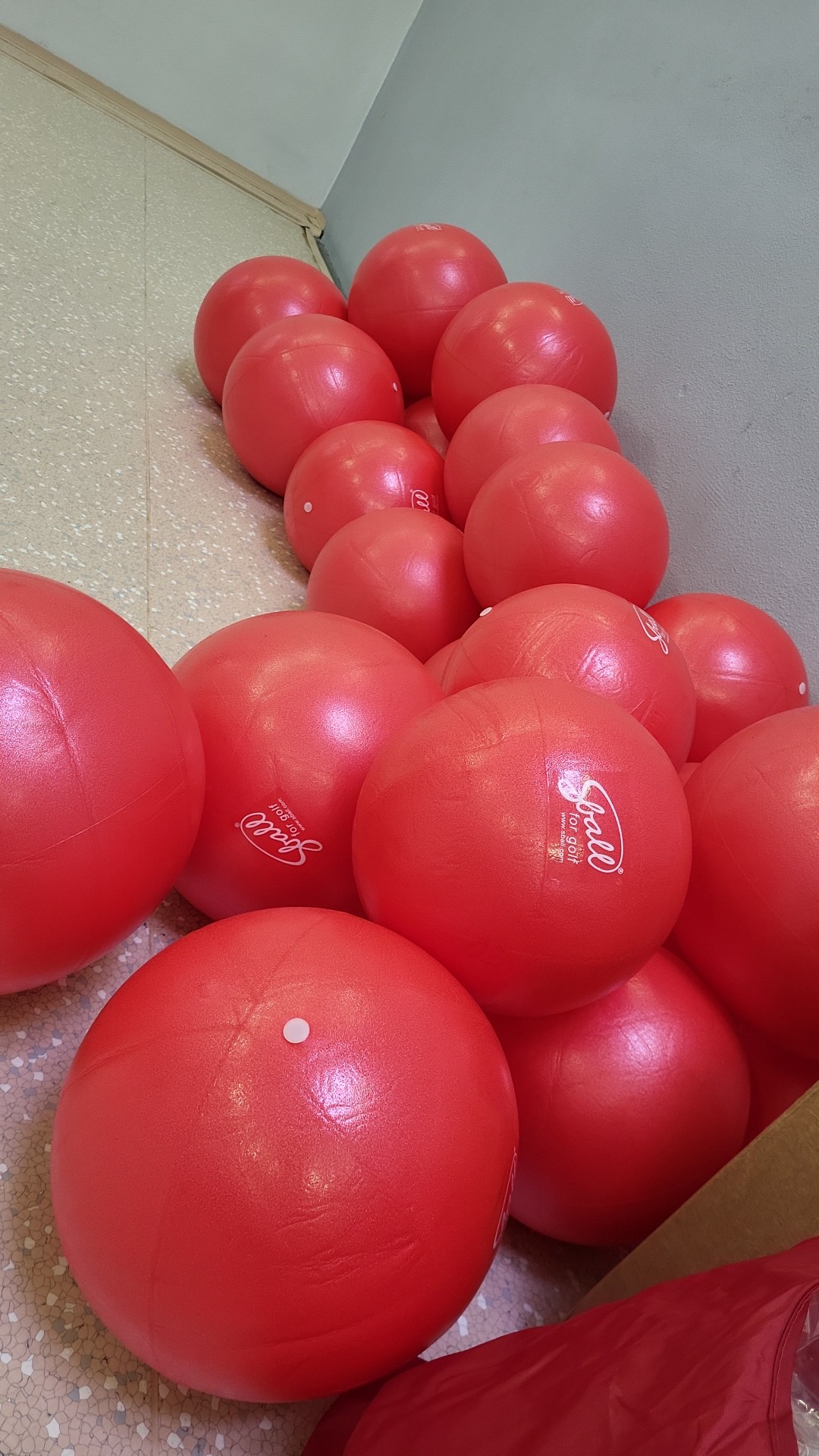 Core HSS bolavá záda