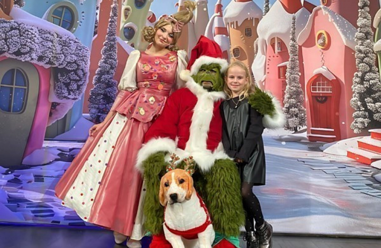 GRINCH - Vánoční loupež