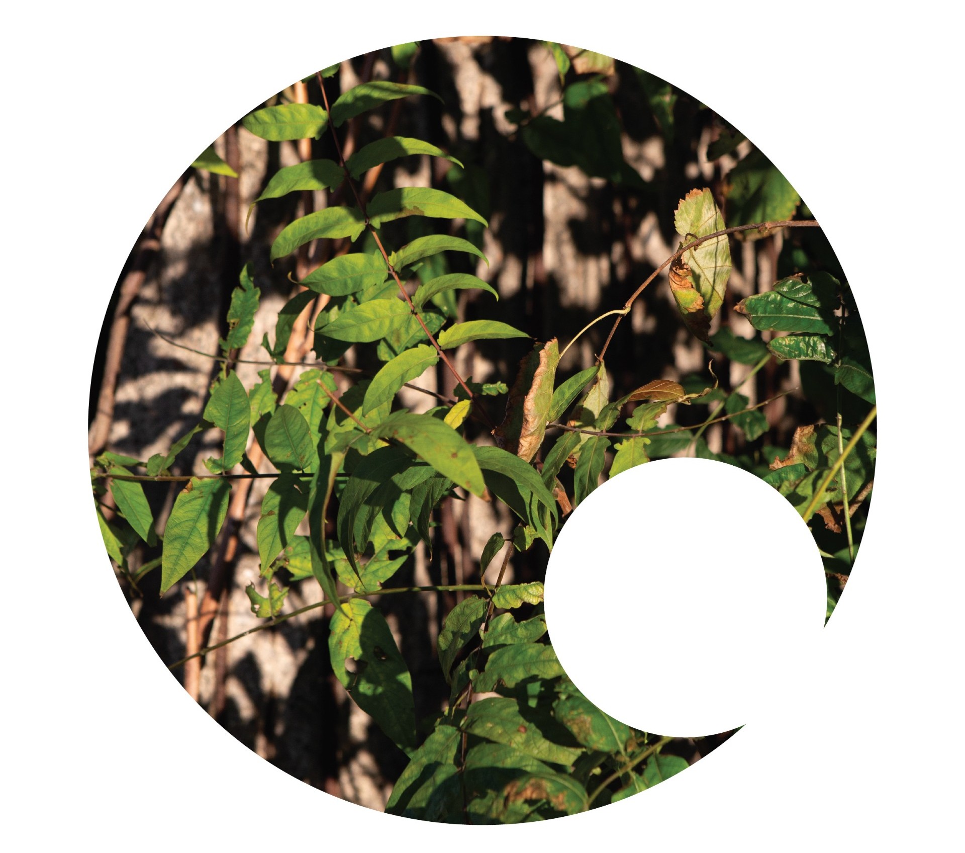 Vernisáž: Klára Kusá - Kto sa nehýbe, necíti okovy