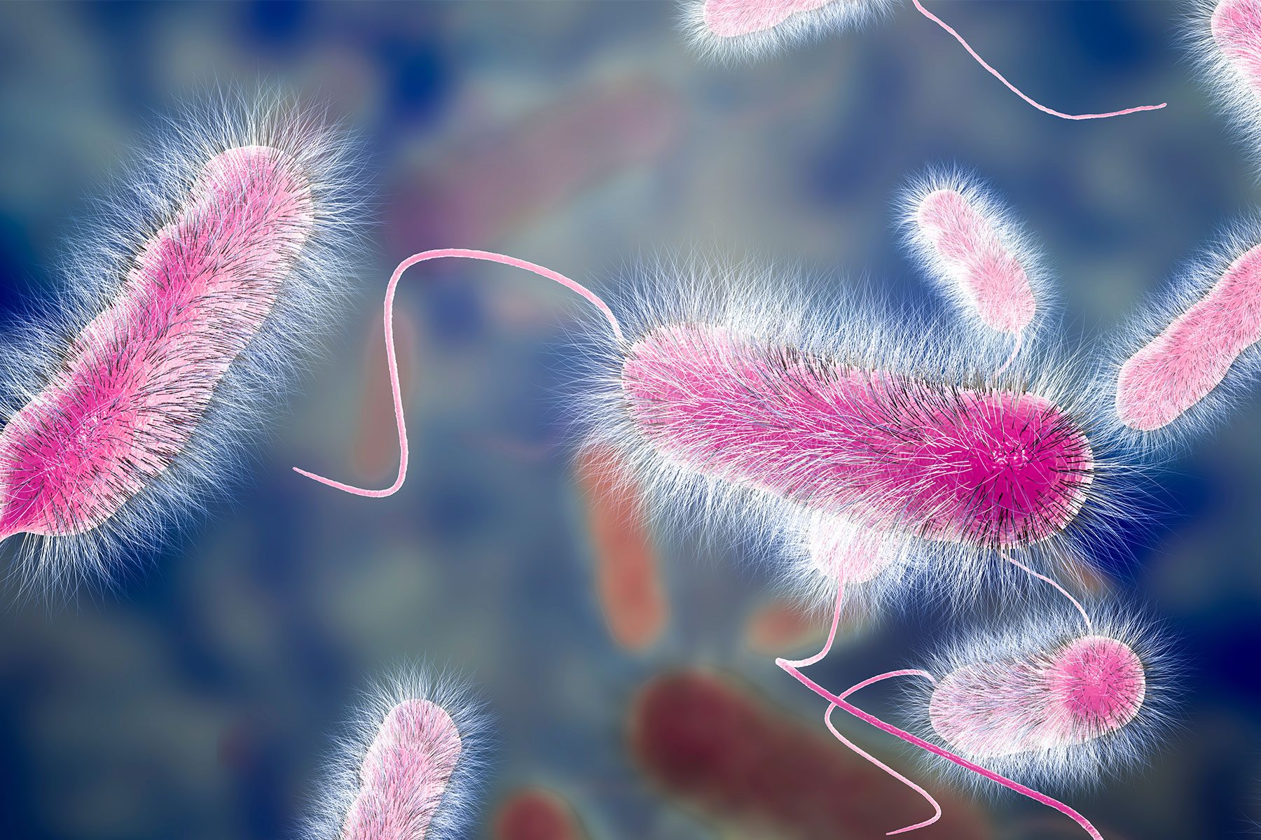 LEGIONELLA anebo tichý společník ve vodovodním potrubí a bojleru doma, na chatě či chalupě 