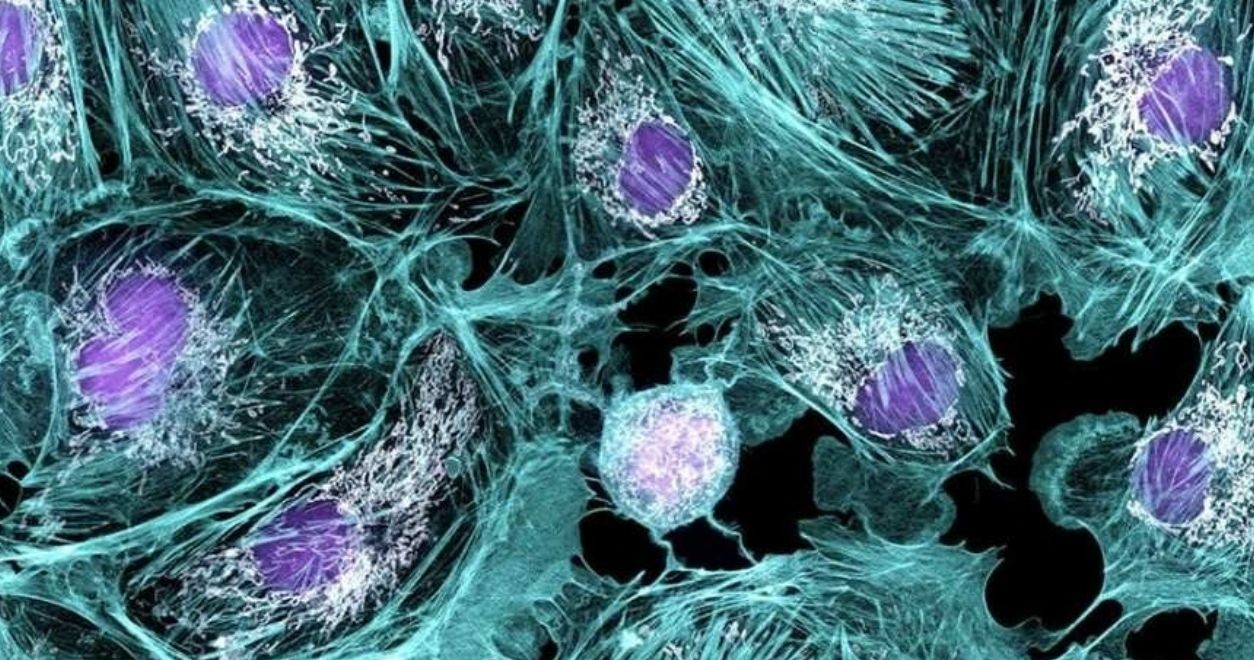 Zdraví pod lupou: mýty, fakta a prevence