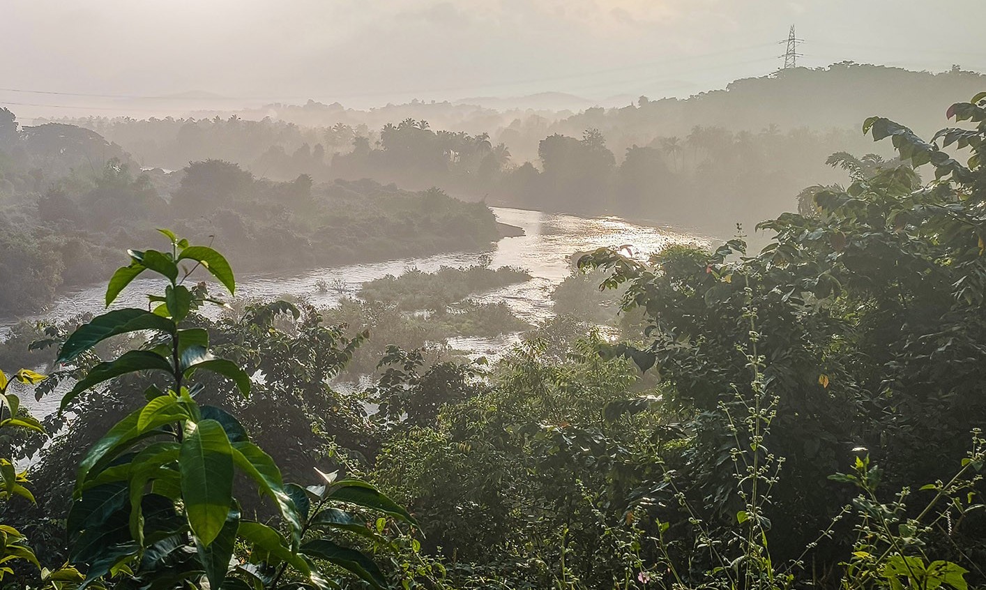 Indie - Tři týdny v džungli