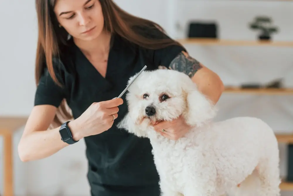 Grooming Solutions
