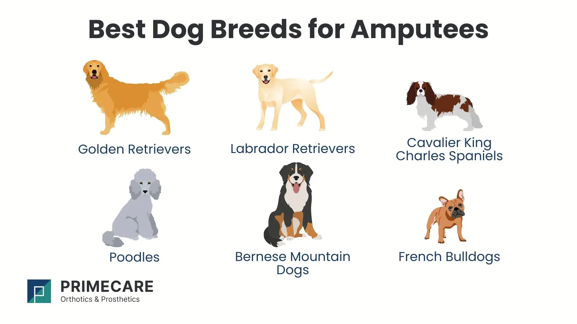 best dog breeds for amputees