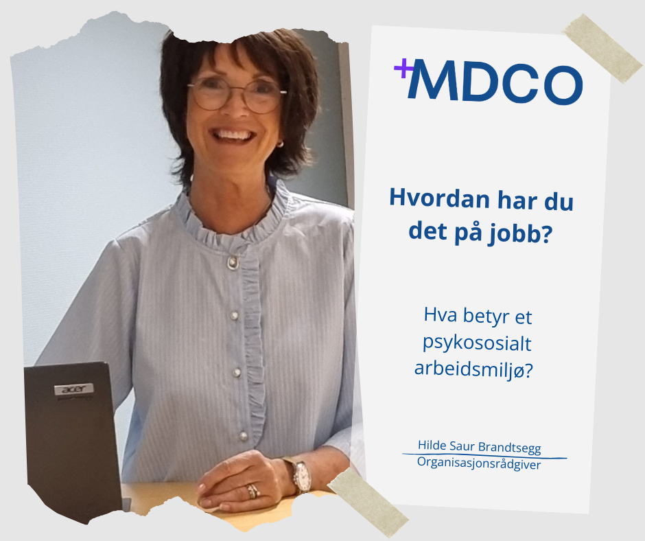 Hilde Saur Brandtsegg