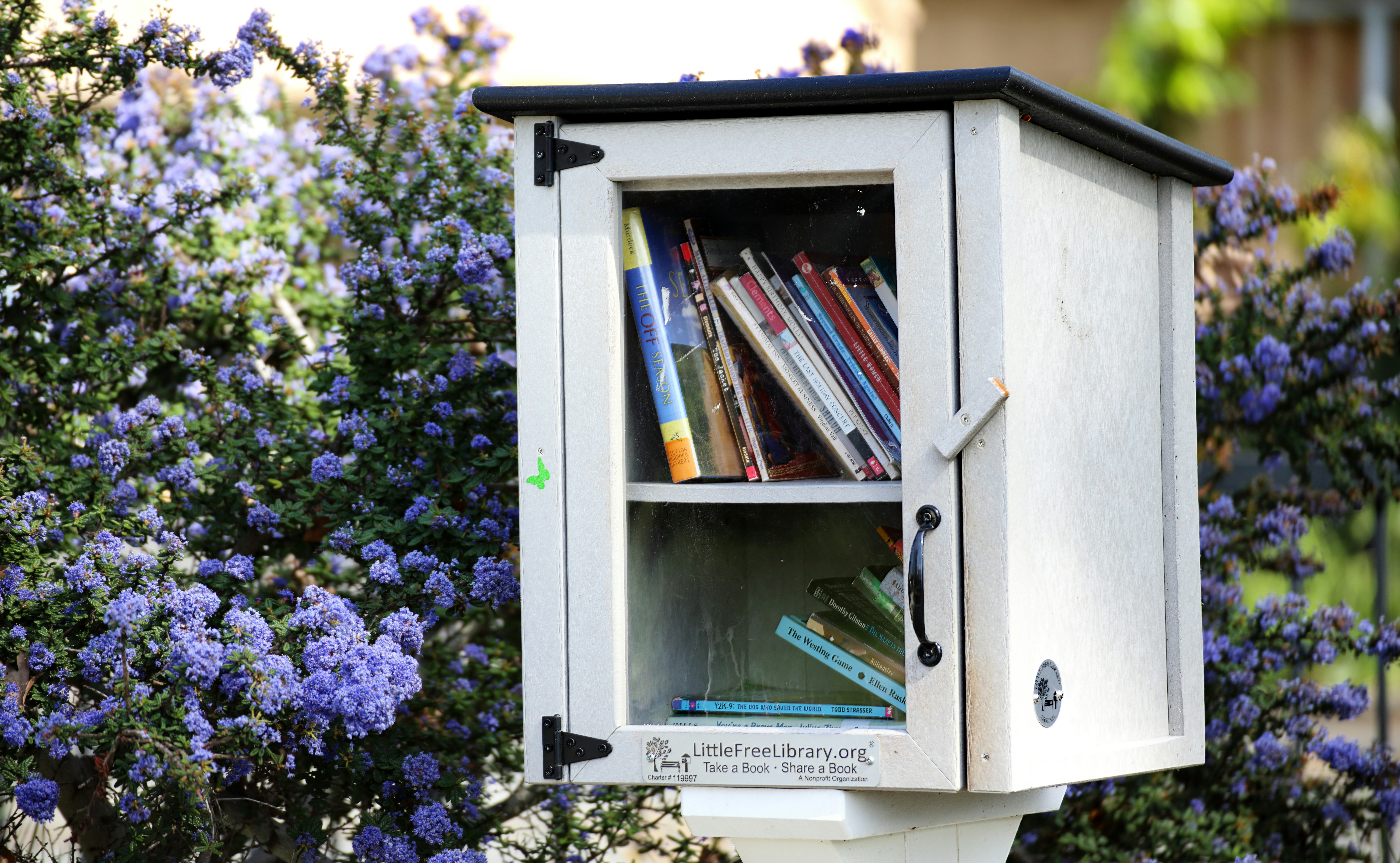 Photo of a book sharing booth by Simon Hurry on Unsplash