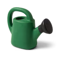 Green watering can with black nozzle for irrigation.