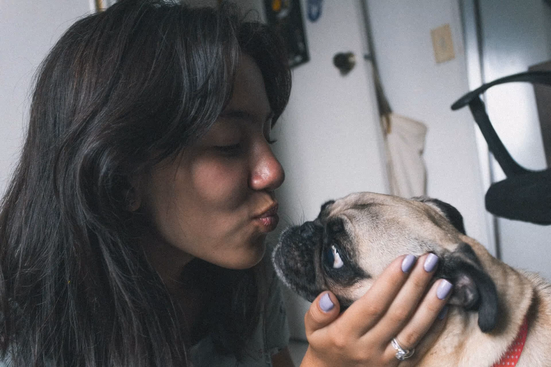 Hur länge löper en hund|Hur länge löper en hund|Hur länge löper en hund