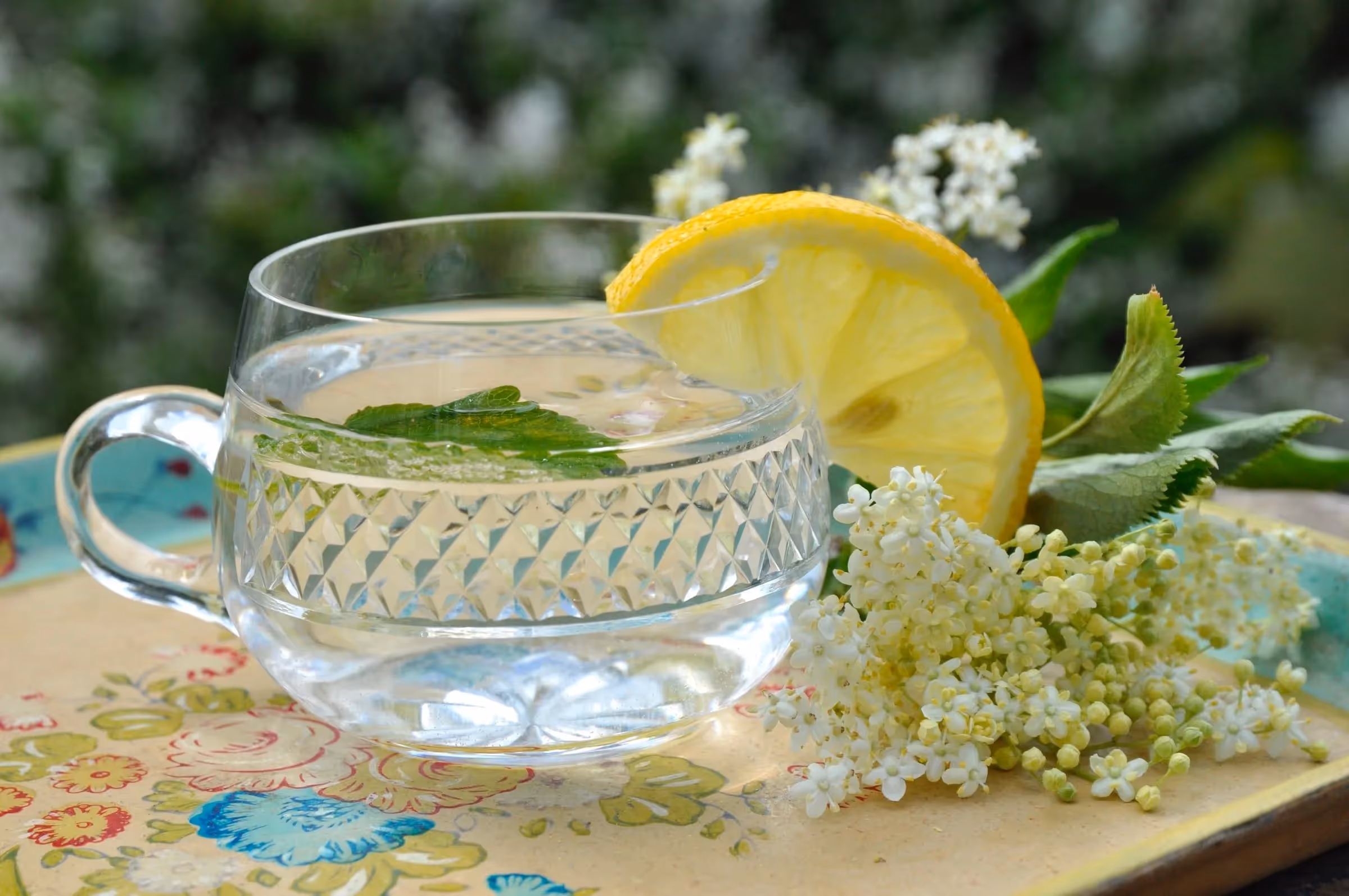 Göra flädersaft är ett supersätt att välkomna sommaren|Göra flädersaft av egenplockade fläderblommor|Njut av egengjord flädersaft