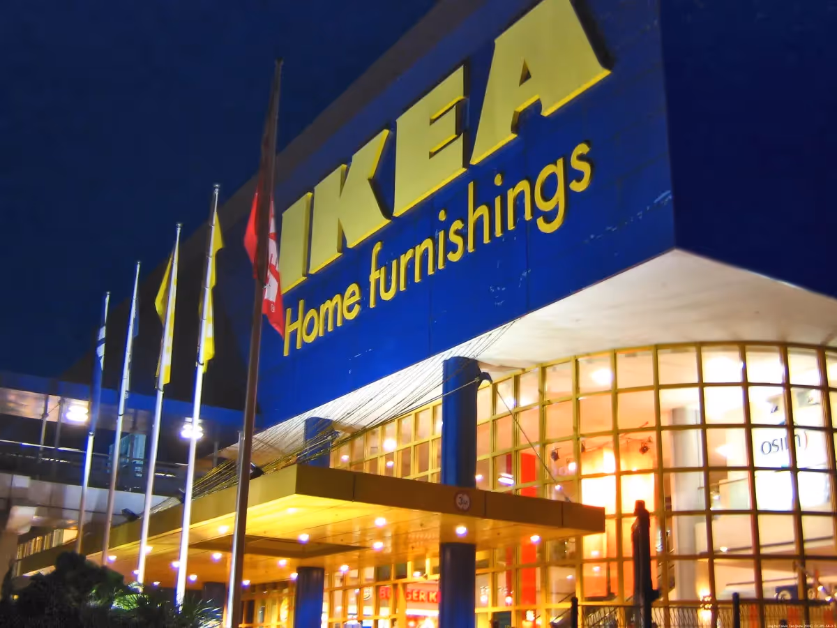 framgångsrika svenskar som unga