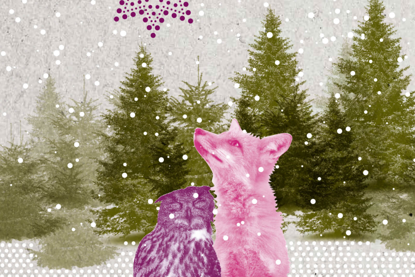 Illustration von einer rosa Füchsin und einer lila Eule im Vordergrund vor einem Hintergrund mit grünen Tannenbäumen und fallendem Schnee.