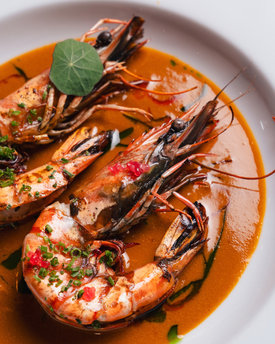 Food photography