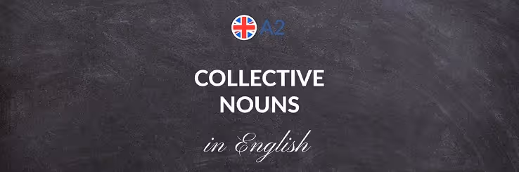 Collective nouns : comprendre les noms collectifs en anglais