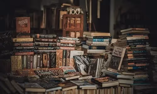 Tout pour Maîtriser le Past Perfect en Anglais !