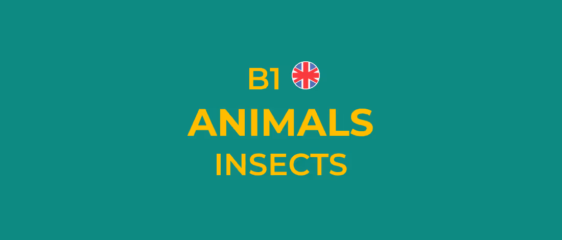 Apprendre l'anglais avec le Cercle des Langues