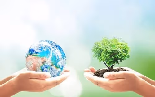 Du greenwashing au réchauffement climatique : un guide complet du vocabulaire environnemental en anglais !