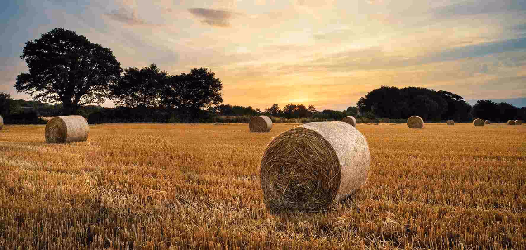 Des élèves dans un cours collectif