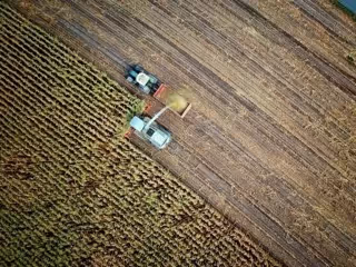 Le vocabulaire anglais de l’agriculture : l’essentiel à connaître