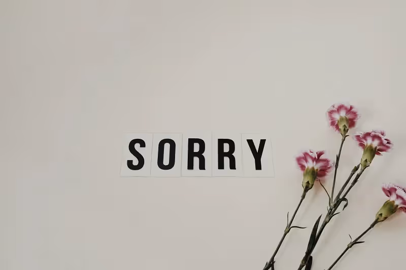 mot "sorry" collé au mur blanc avec à côté des fleurs roses et blanches