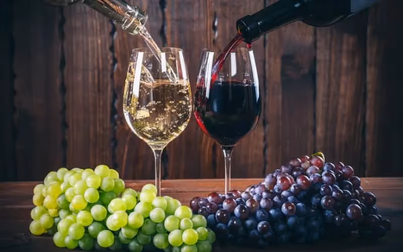Un verre de vin blanc et un verre de vin rouge avec du raison blanc et du raisin rouge sur fond boisé
