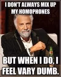 meme "I don't always mix up my homophones but when I do I feel ery dumb"