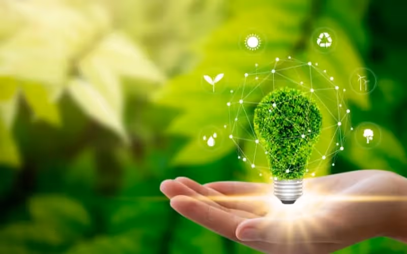 Main tient un arbre en forme d'ampoule entouré par des thématiques liées à l'environnement en anglais