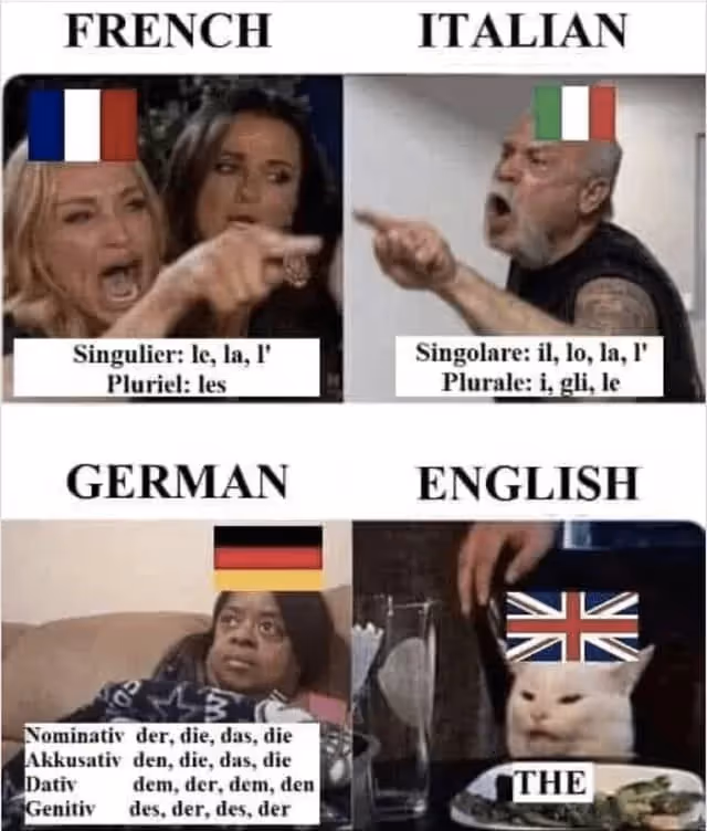 meme sur l'utilisation de "the" dans les différentes langues (français, italien, allemand et anglais)