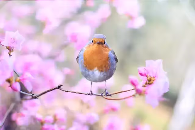 Les quatre saisons en anglais : tout le vocabulaire