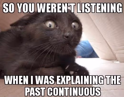 meme chat noir "so you weren't listening when I was explaining the past continuous"