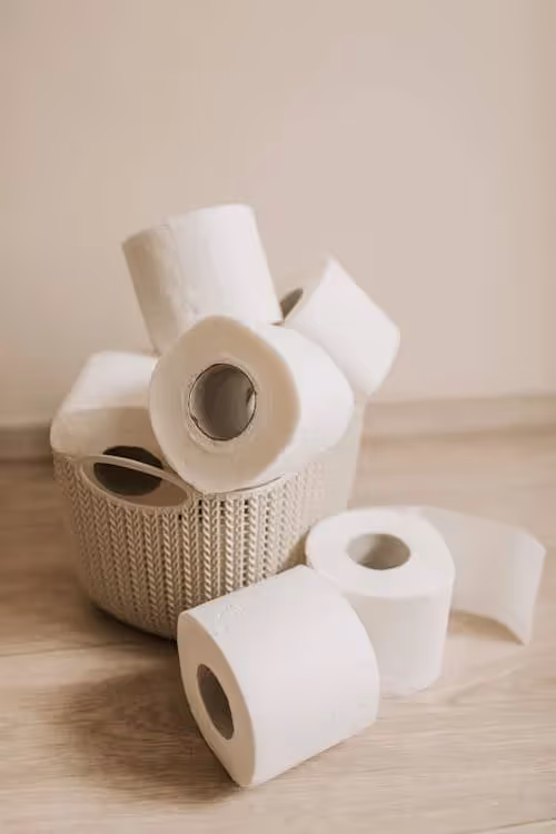 Rouleaux de papier toilette pour illustrer le vocabulaire pour aller aux toilettes en anglais