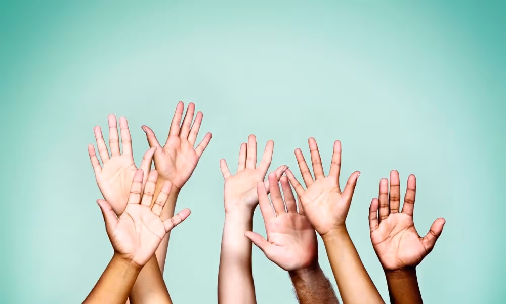 Image pour illustrer l'article raise ou rise en anglais