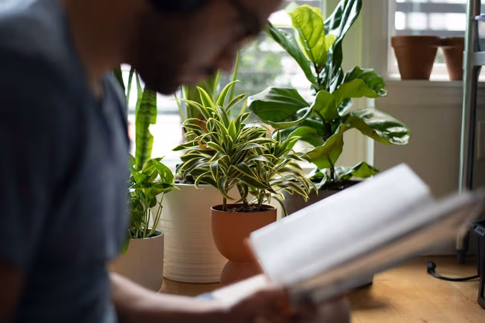 Image pour illustrer l'article sur le conditionnel présent anglais