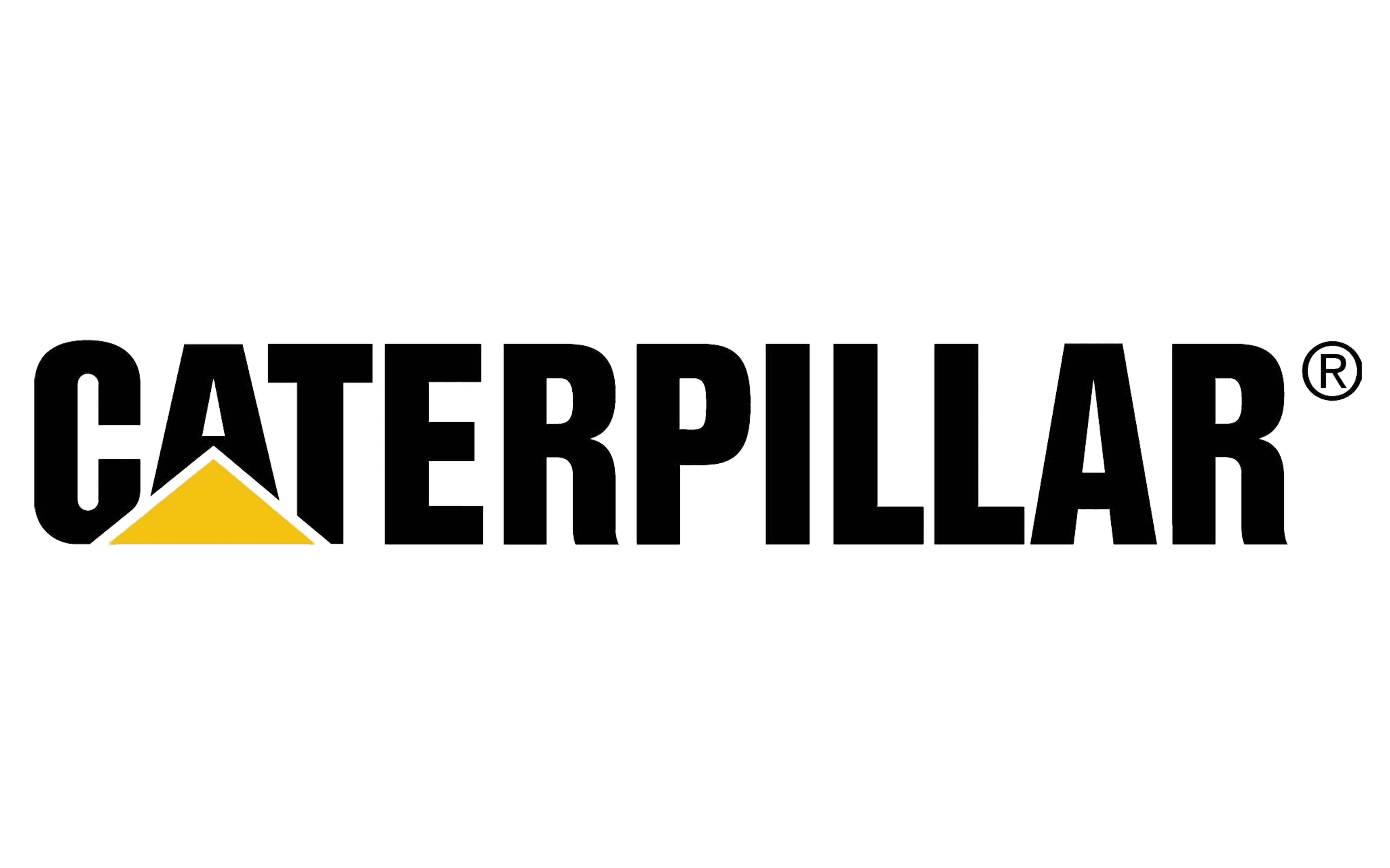 The Paak logo