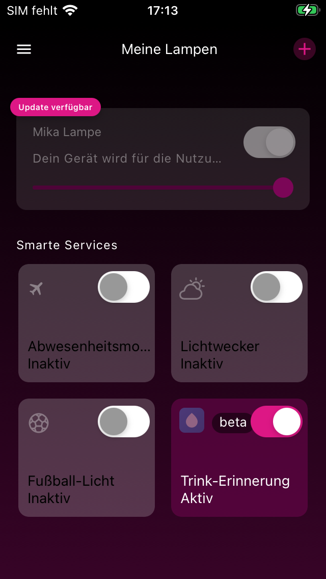 Meine Lampen mit neuer Lampe und Services