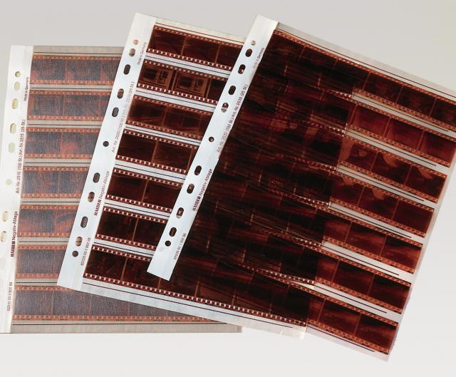 Cut negative strips stored in protective sleeves