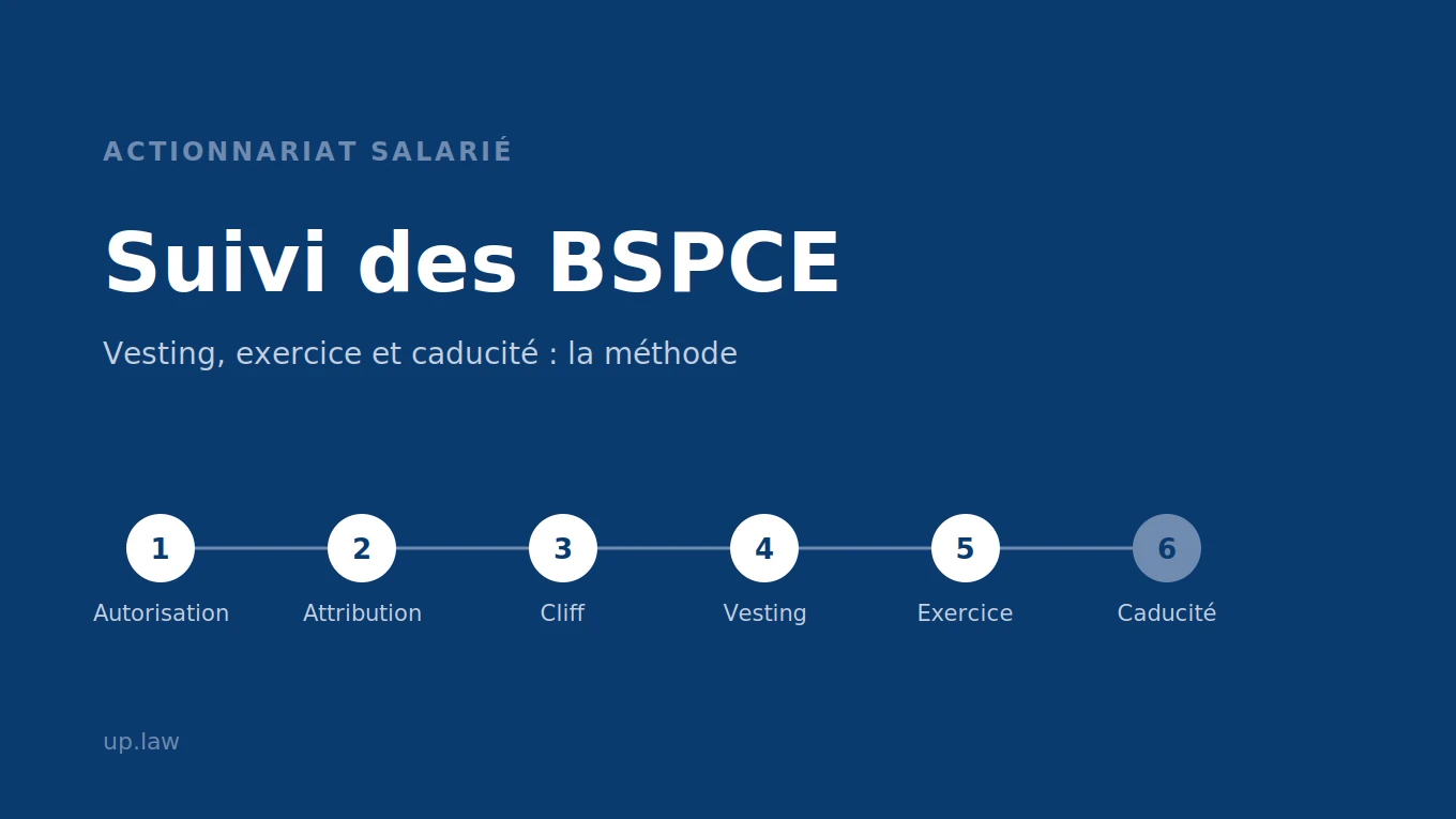 Suivi des BSPCE : la méthode complète