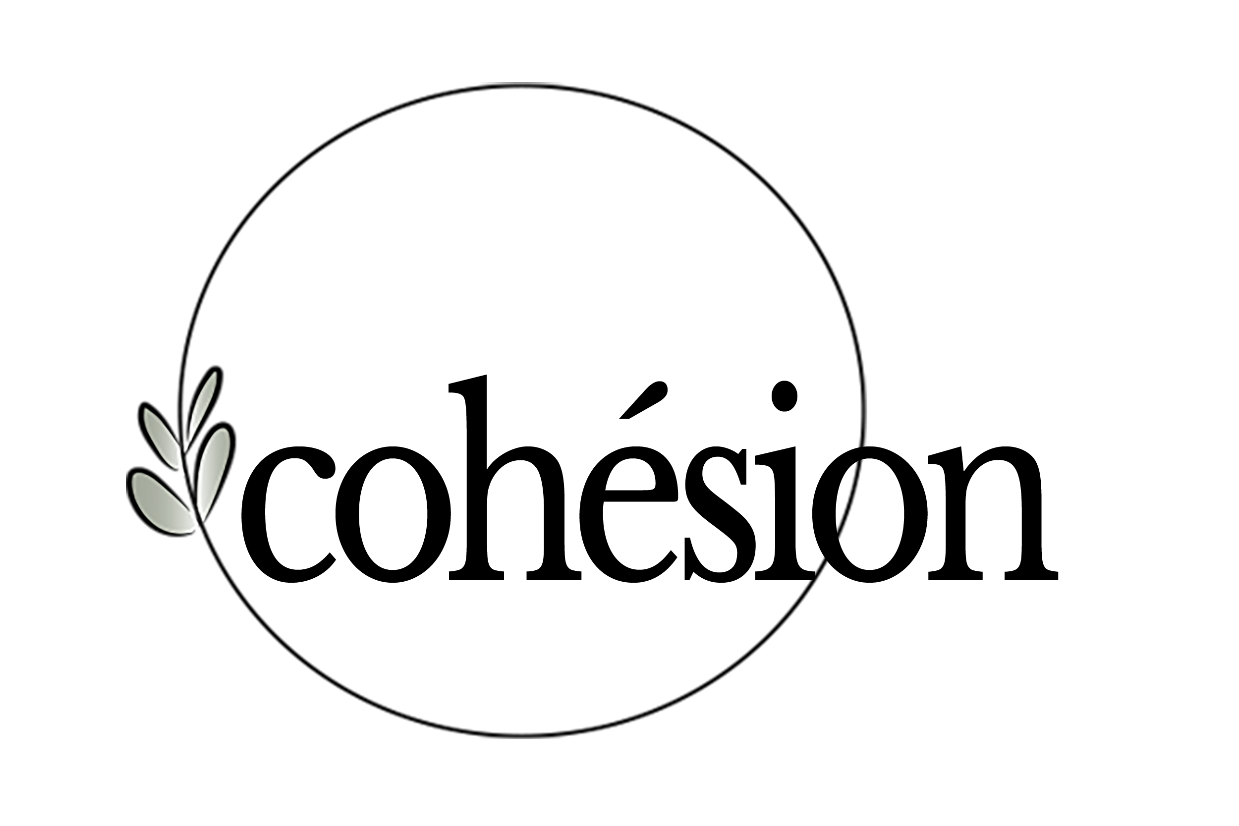 Logo Boutique Cohésion