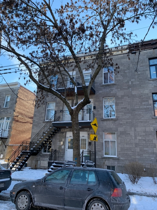 1676-1686 Sicard Montreal