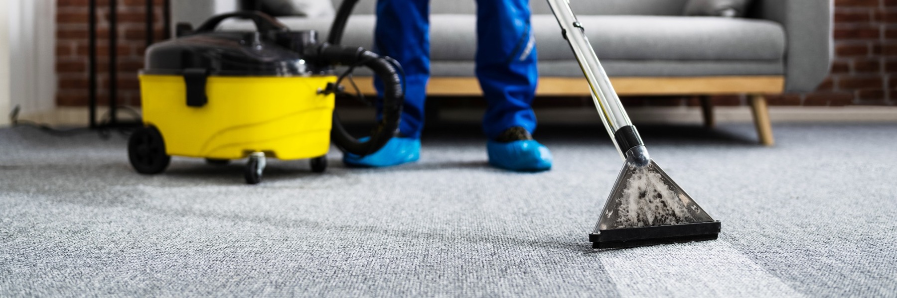 Professional cleaning a gray carpet with a yellow steam extractor machine in a living room setting.