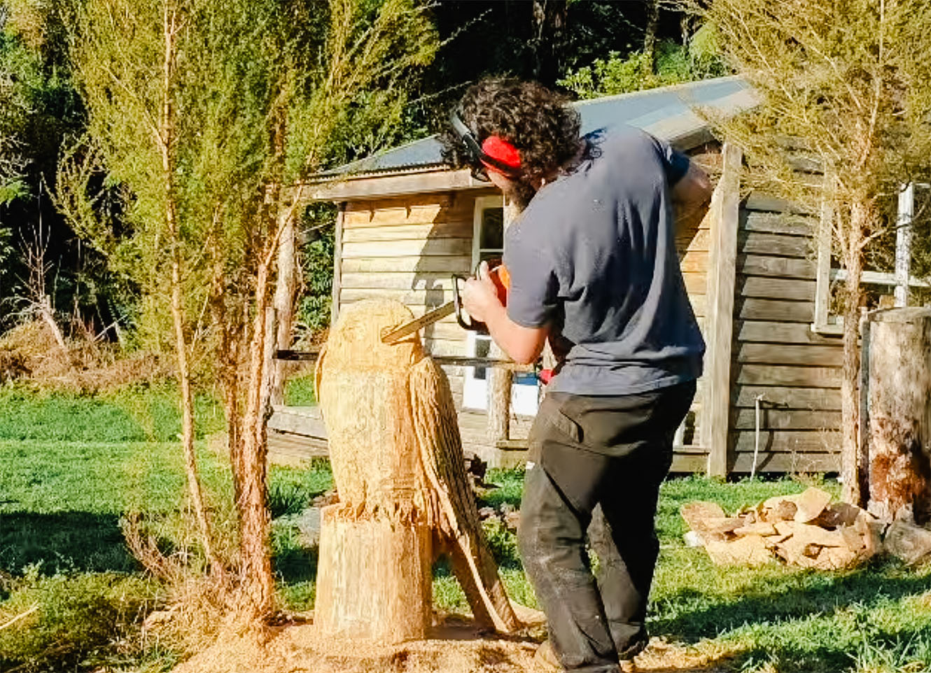 A man carves a ruru owl out of a tree stump with a chainsaw