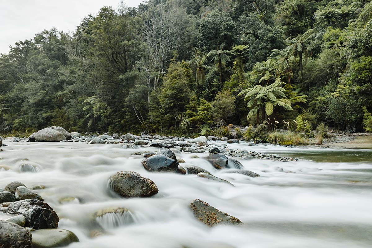 Water rushing over rocks in Waingaro River at Mamaku Grove,
