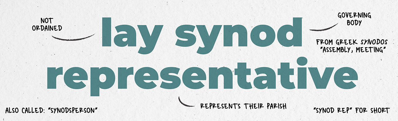 A breakdown of the term "lay synod representative".