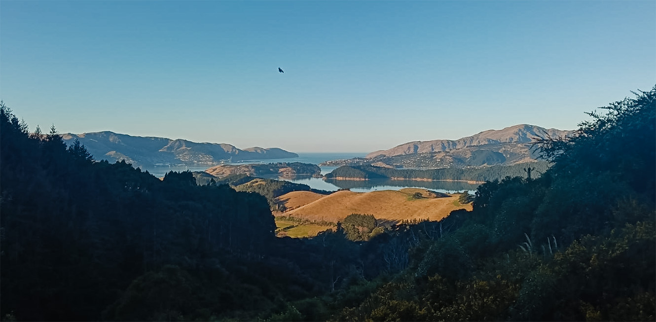 A view of lakes and forests